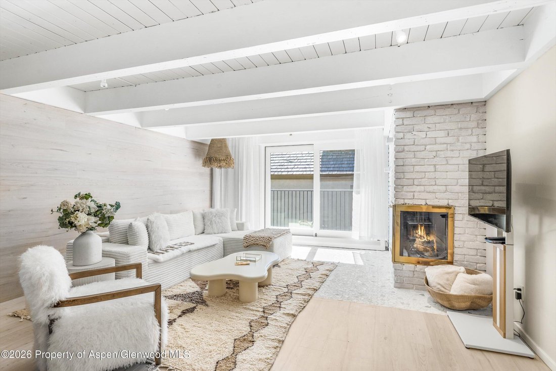Condo in Aspen, Colorado, United States 1 - 18999545