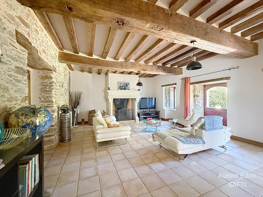 House in Segre, Segre-en-Anjou Bleu, France 5 - 18999676