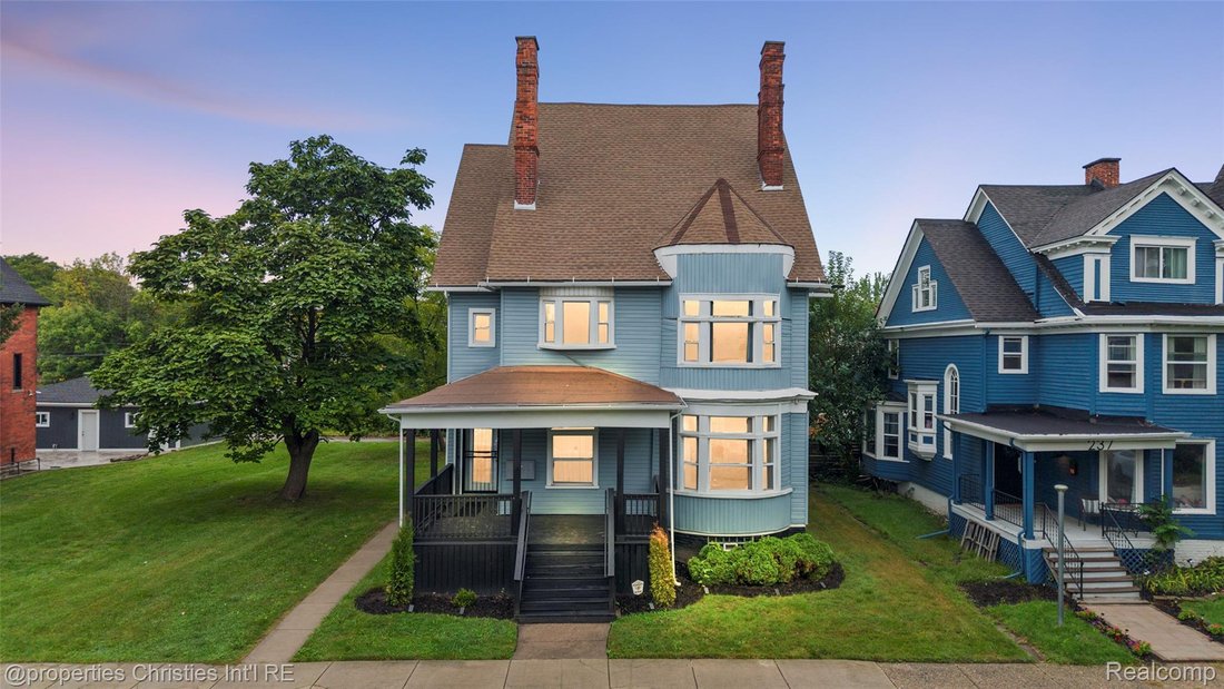 House in Detroit, Michigan, United States 1 - 18999562