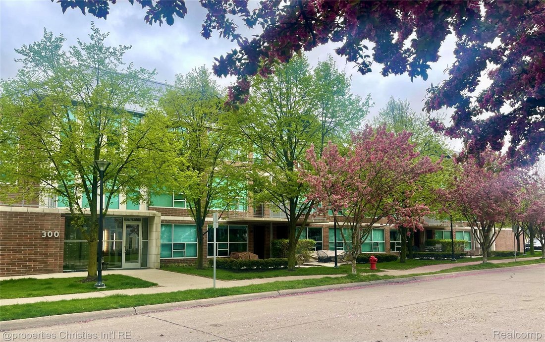Condo in Plymouth, Michigan, United States 2 - 18999569
