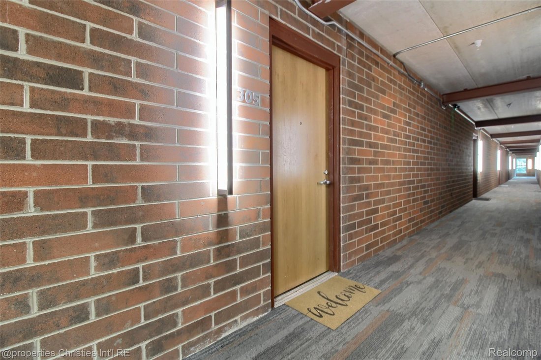 Condo in Plymouth, Michigan, United States 5 - 18999569