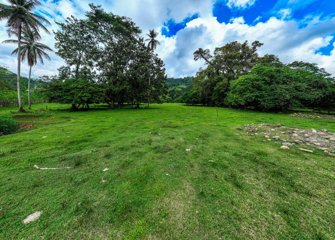 Land in Savegre de Aguirre, Puntarenas Province, Costa Rica 5 - 18999560
