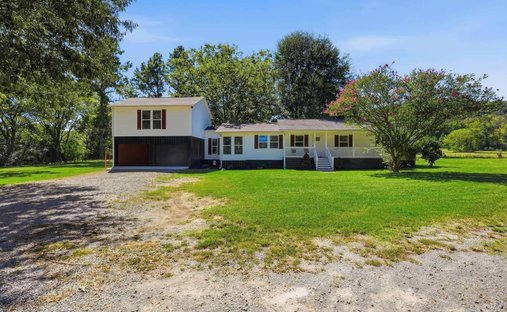 Farm Ranch in Somerville, Alabama, United States 1