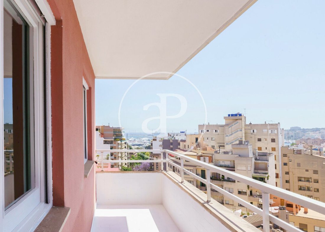 Apartment in Palma, Balearic Islands, Spain 1 - 19007336