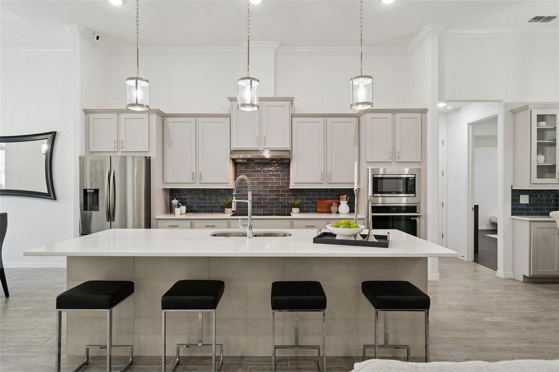 House in Clermont, Florida, United States 5 - 19003451