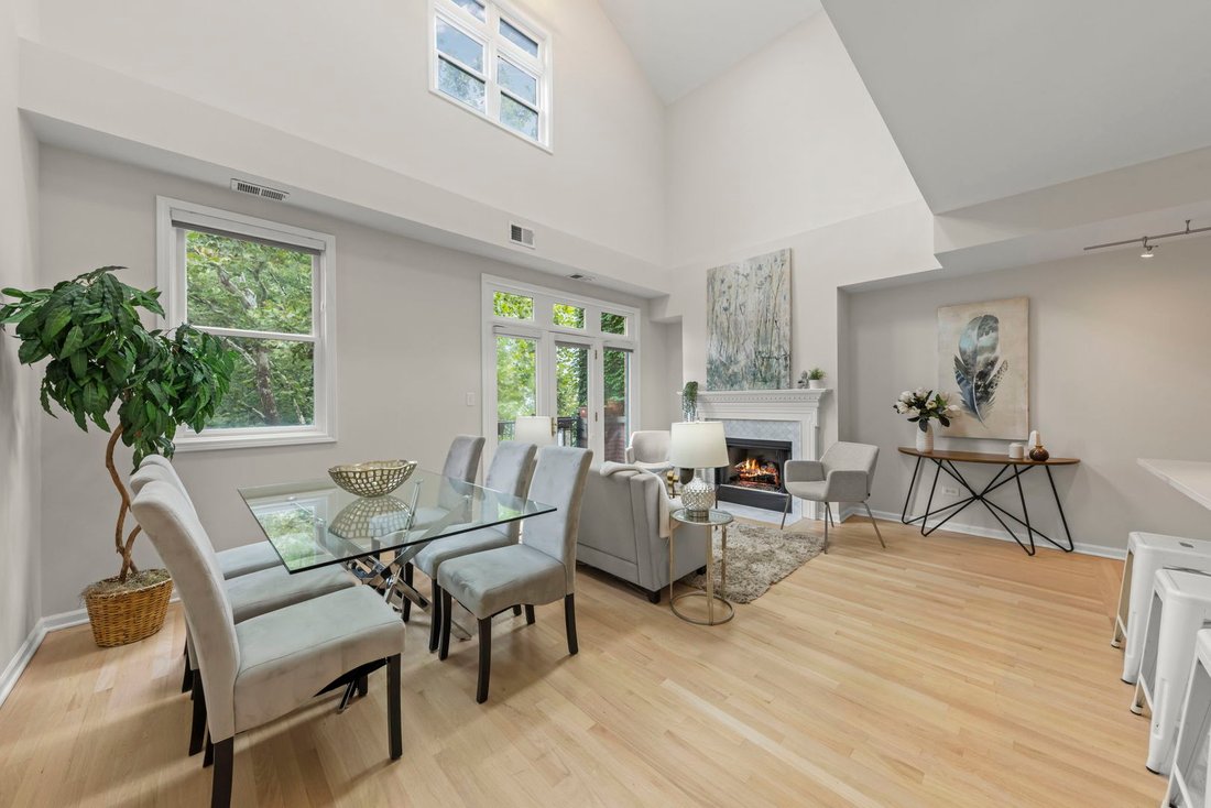 Condo in Chicago, Illinois, United States 3 - 19003778