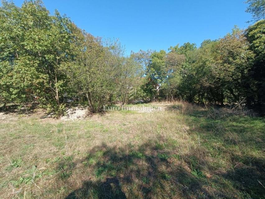 Land in Opcina Jelenje, Primorje-Gorski Kotar County, Croatia 4 - 19007344