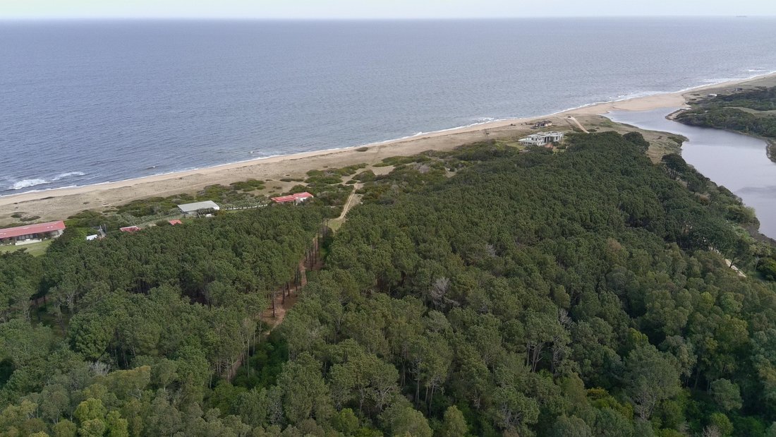 Farm Ranch in Ocean Park, Maldonado Department, Uruguay 5 - 19003884
