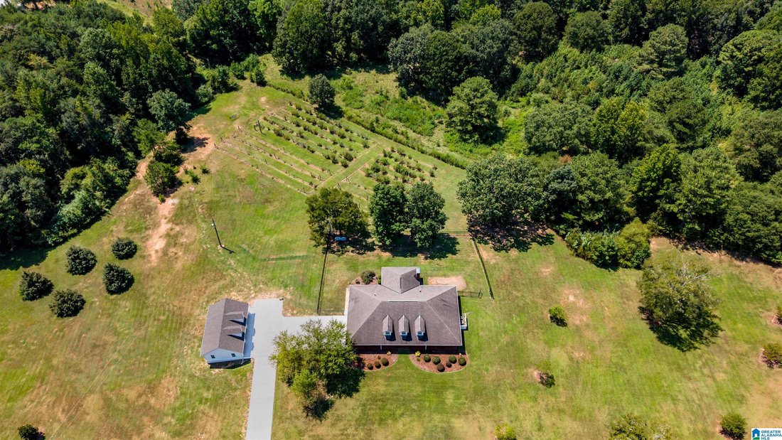 House in Northport, Alabama, United States 5 - 19000955