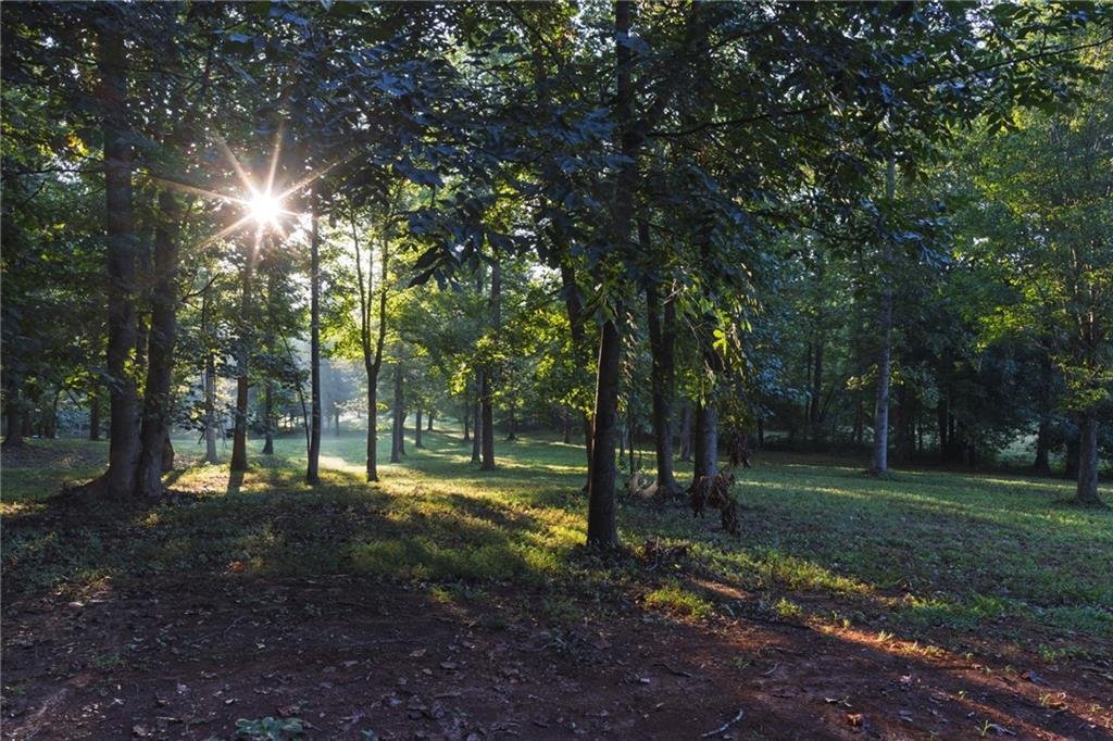 House in Ball Ground, Georgia, United States 3 - 19007167