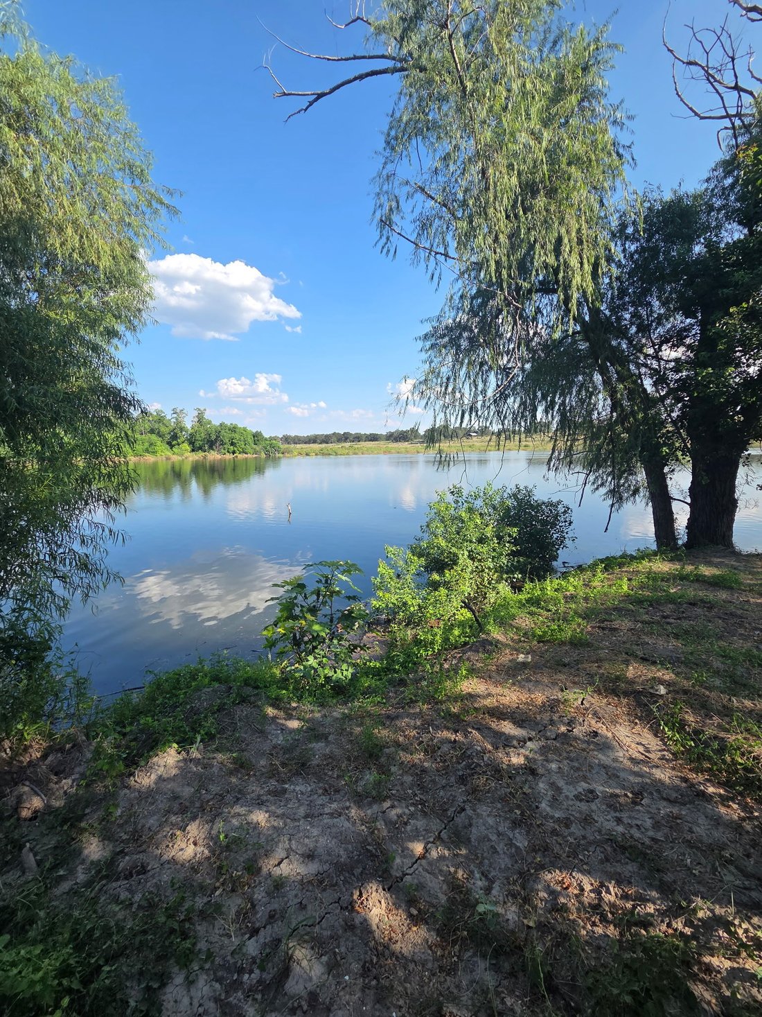 Land in Spring Branch, Texas, United States 5 - 19006955