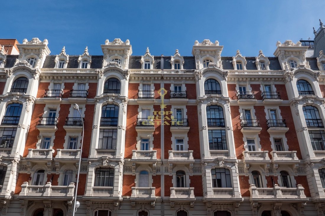 Apartment in Barrio Salamanca, Madrid, Spain 5 - 19007383