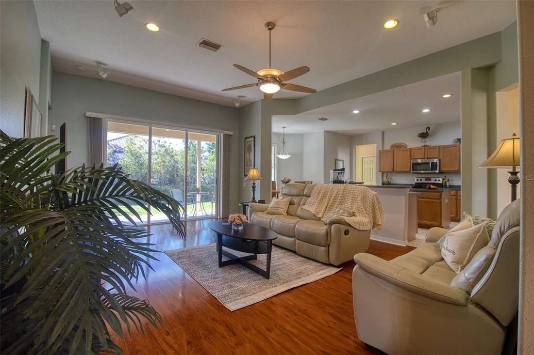 House in Dunedin, Florida, United States 4 - 19006769