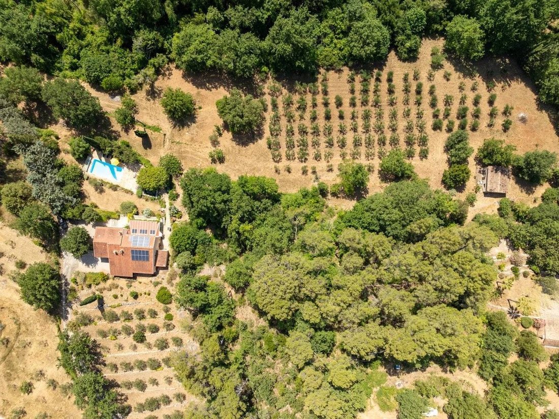 Villa in Flayosc, Provence-Alpes-Côte d'Azur, France 1 - 17929432