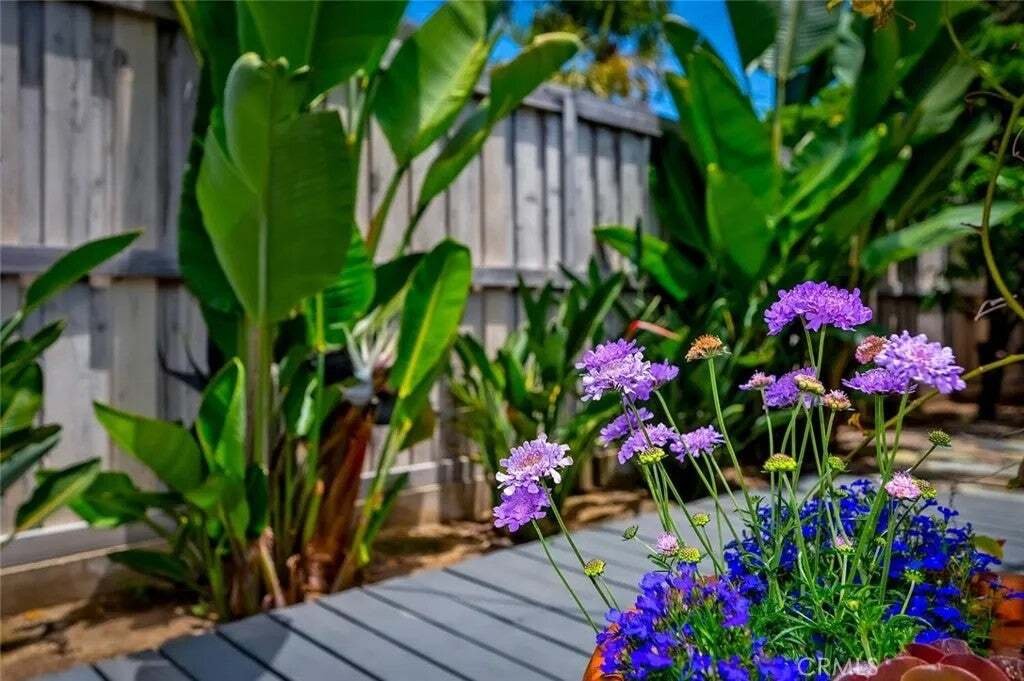 House in Laguna Beach, California, United States 5 - 19005783