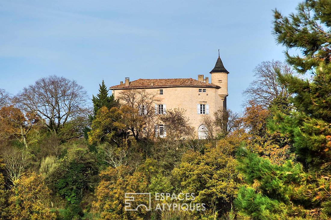 Villa in Puycalvel, Occitania, France 1 - 19005669