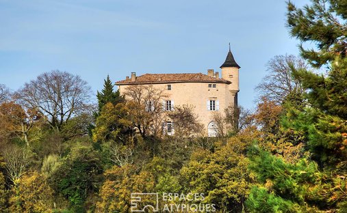 Villa in Puycalvel, Occitania, France 1