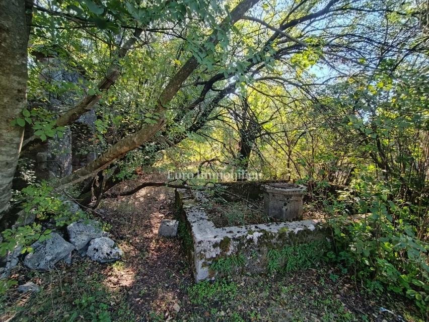Land in Opcina Jelenje, Primorje-Gorski Kotar County, Croatia 3 - 19007344