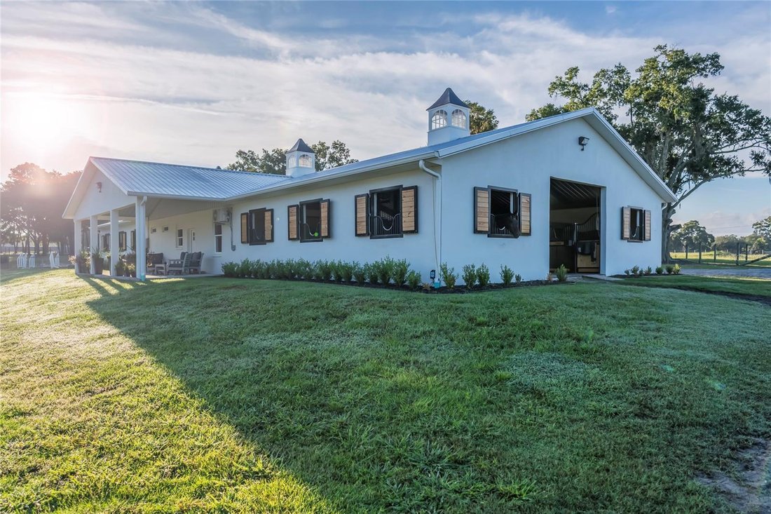 Farm Ranch in Ocala, Florida, Vereinigte Staaten 1 - 17865008