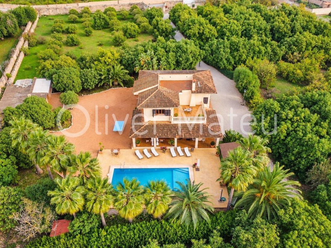 Chalet in Palma, Balearic Islands, Spain 3 - 19007324