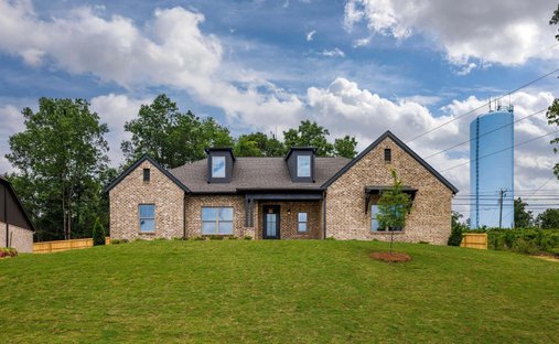 House in Vance, Alabama, United States 1
