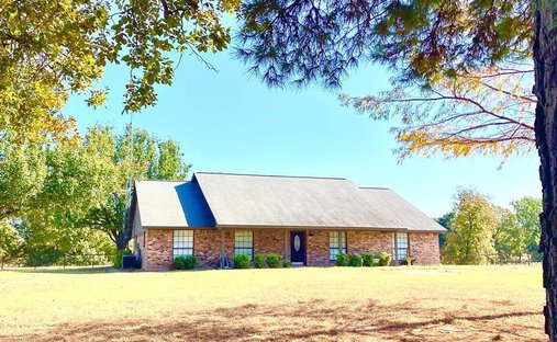House in Mineola, Texas, United States 1