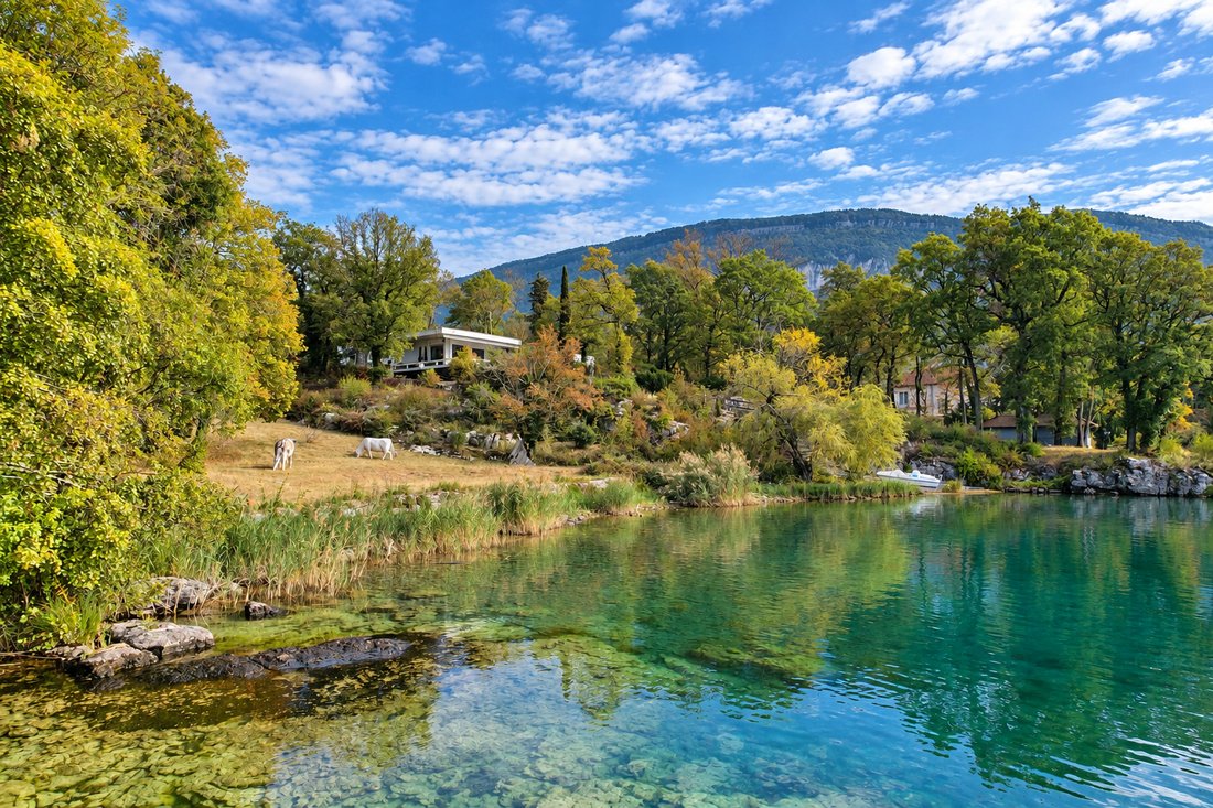 Estate in Italie-Jacotot, Aix-les-Bains, France 1 - 19007795