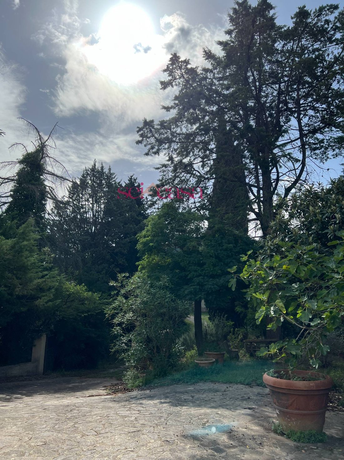 Country House in Sasso d'Ombrone, Tuscany, Italy 3 - 19006011