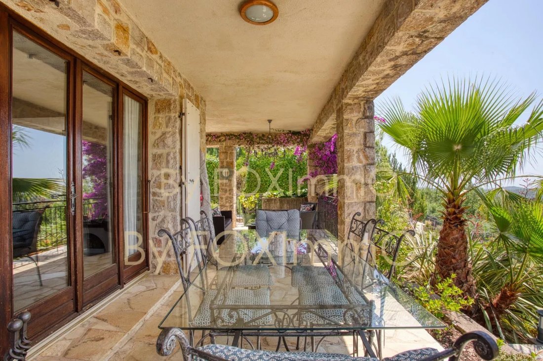 Villa in Tourrettes-sur-Loup, Provence-Alpes-Côte d'Azur, Frankreich 2 - 19004665