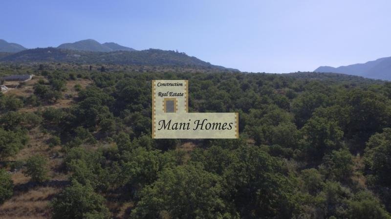 Land in Lefktro, Peloponnese, Western Greece and the Ionian, Greece 5 - 19006688