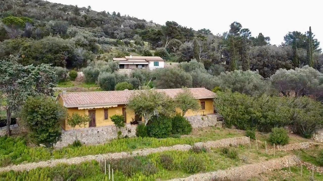 Villa in Porto Santo Stefano, Monte Argentario, Tuscany 5 - 19003471