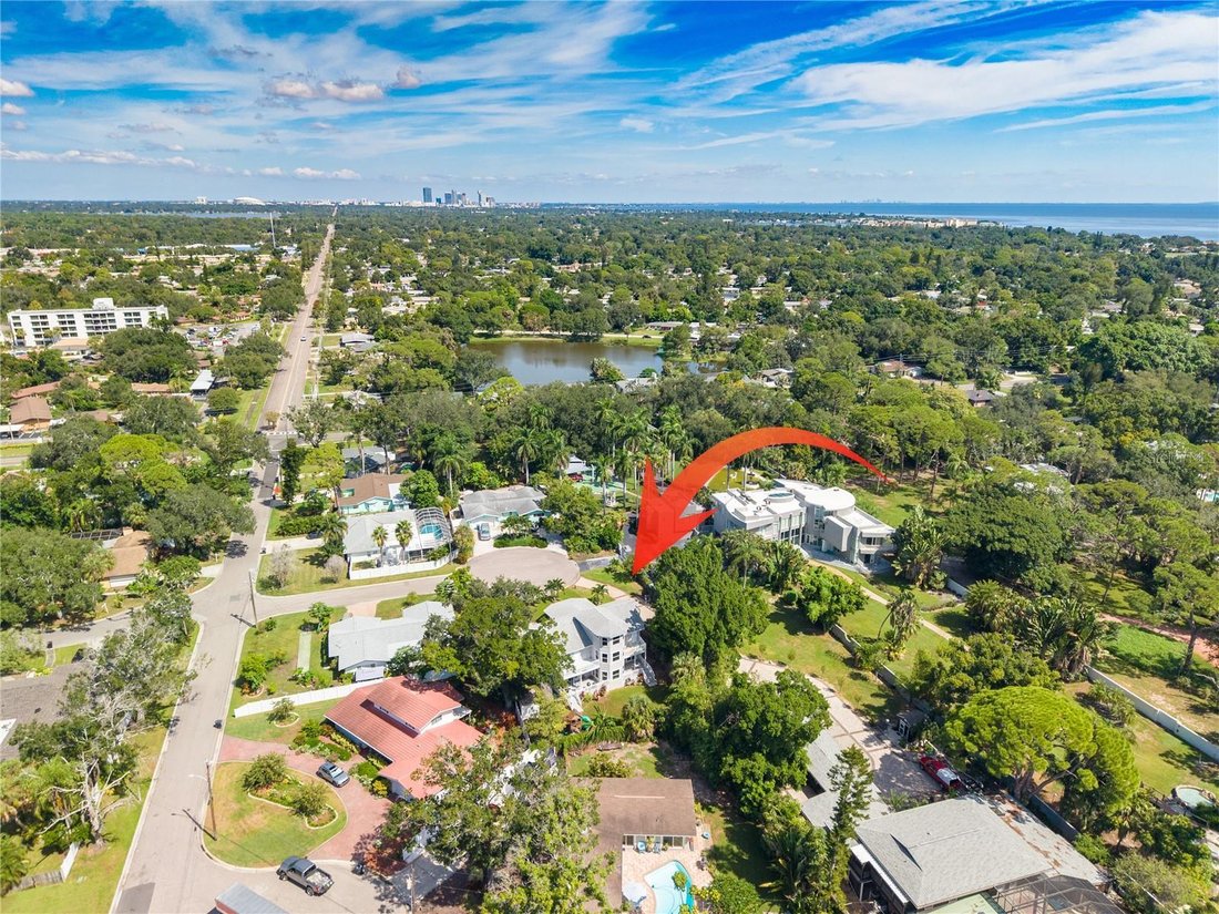 House in St. Petersburg, Florida, United States 3 - 19000598