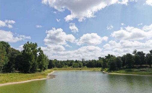 Land in Palestine, Texas, Vereinigte Staaten 1