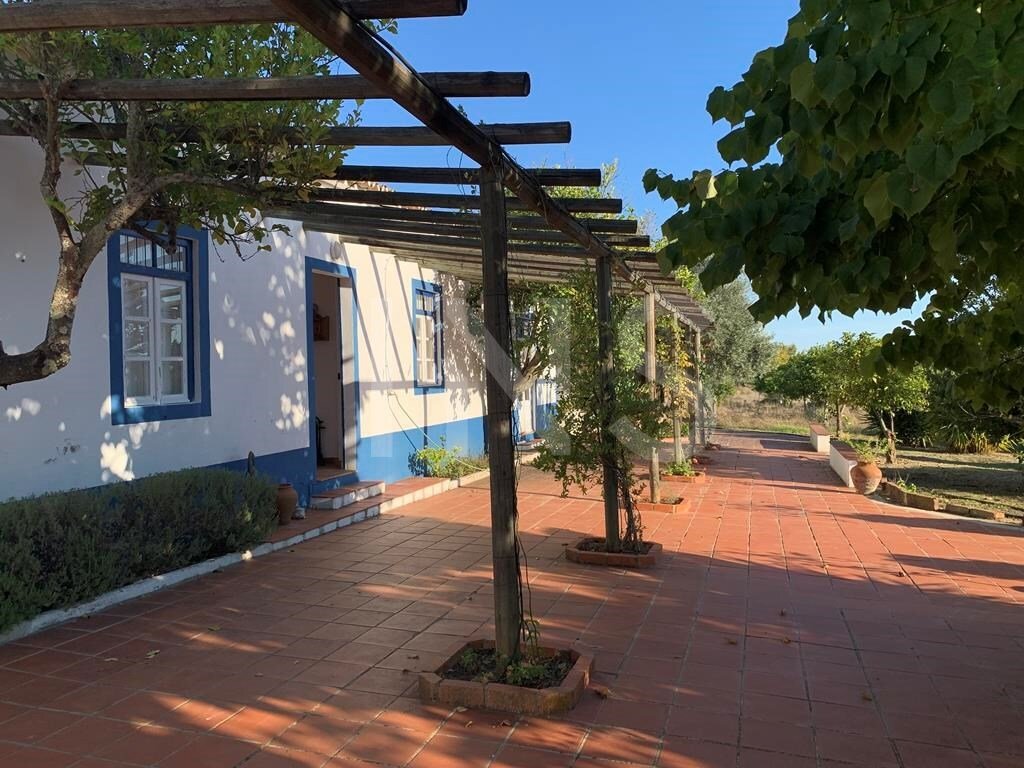 Finca en Alvito, Distrito de Beja, Portugal 3 - 19007623