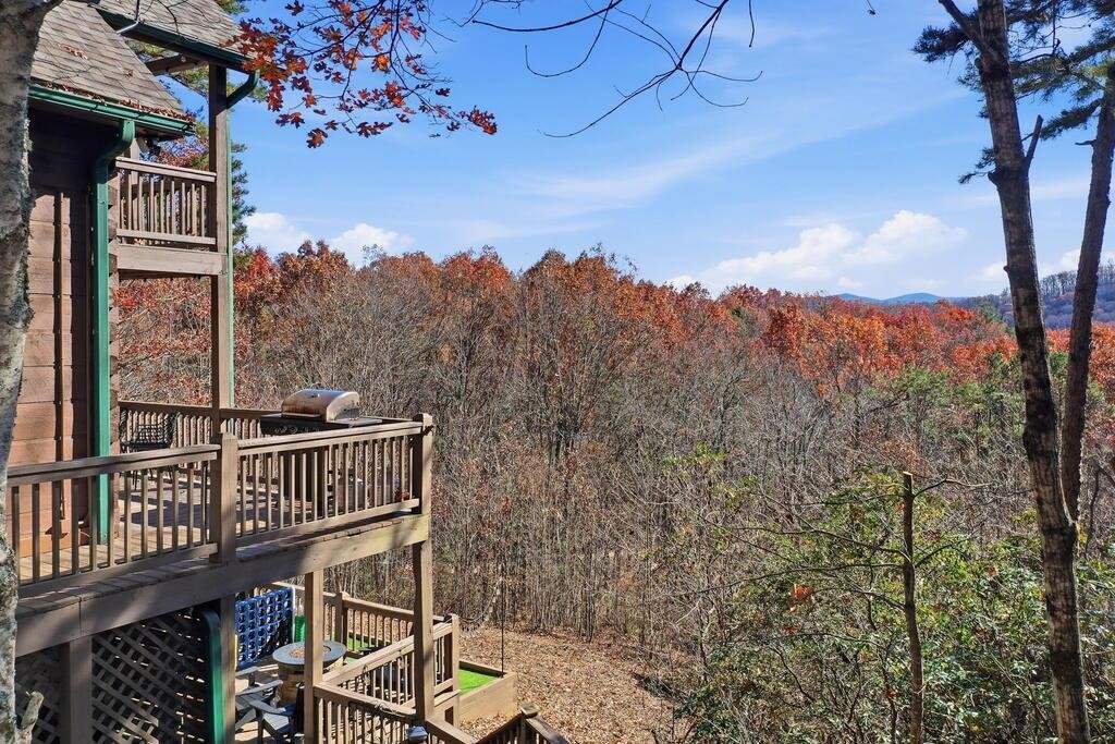 House in Cherry Log, Georgia, United States 1 - 19003026