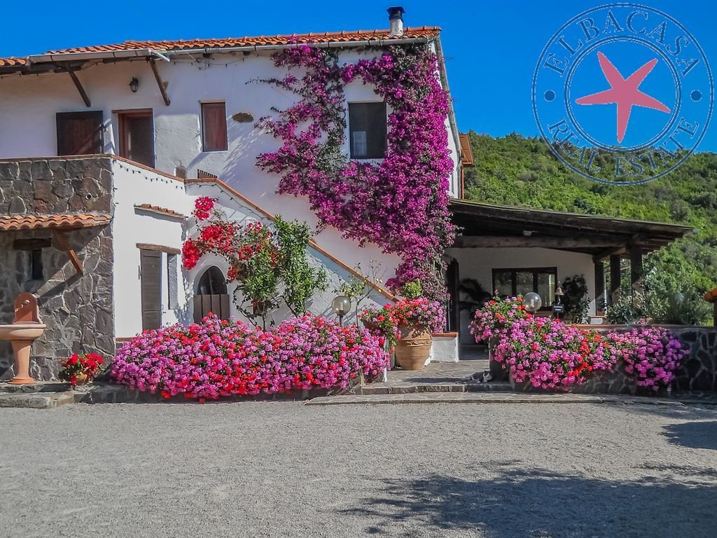 House in Portoferraio, Tuscany, Italy 1 - 19002869
