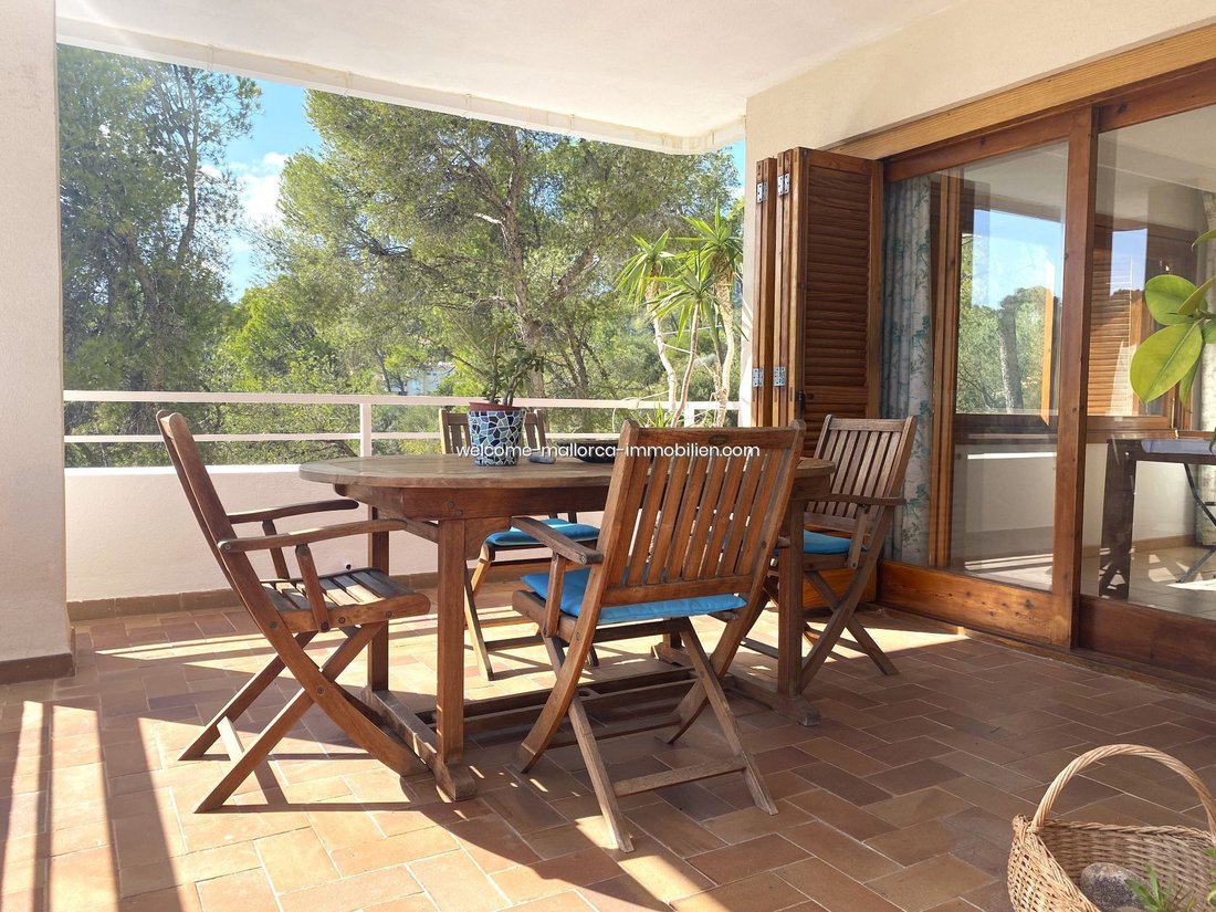Apartment in Cas Catala, Calvia, Balearic Islands 5 - 19004421