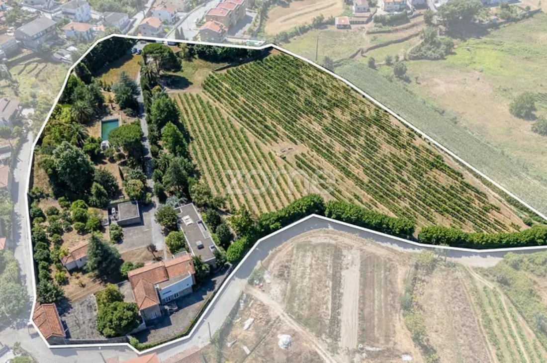 Finca in Termas de Sao Vicente, Porto District, Portugal 1 - 19005224
