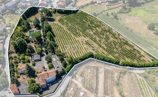 Finca in Termas de Sao Vicente, Porto District, Portugal 1
