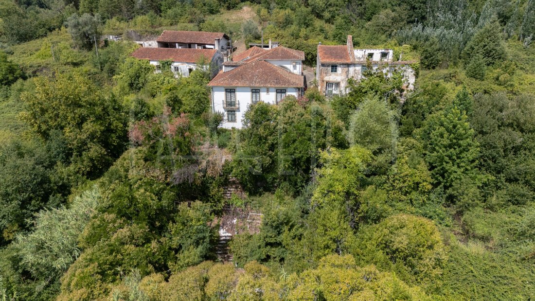 Finca in Antuzede e Vil de Matos, Coimbra District, Portugal 3 - 19007646