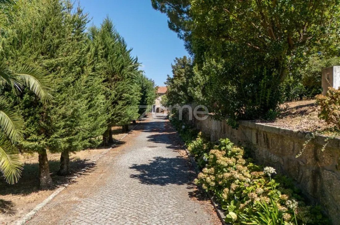 Finca in Termas de Sao Vicente, Porto District, Portugal 3 - 19005224