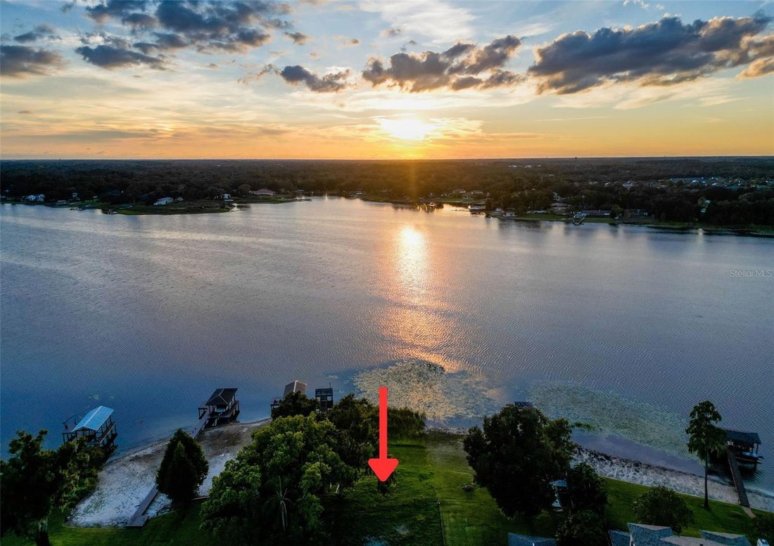 House in Tampa, Florida, United States 5 - 19003460