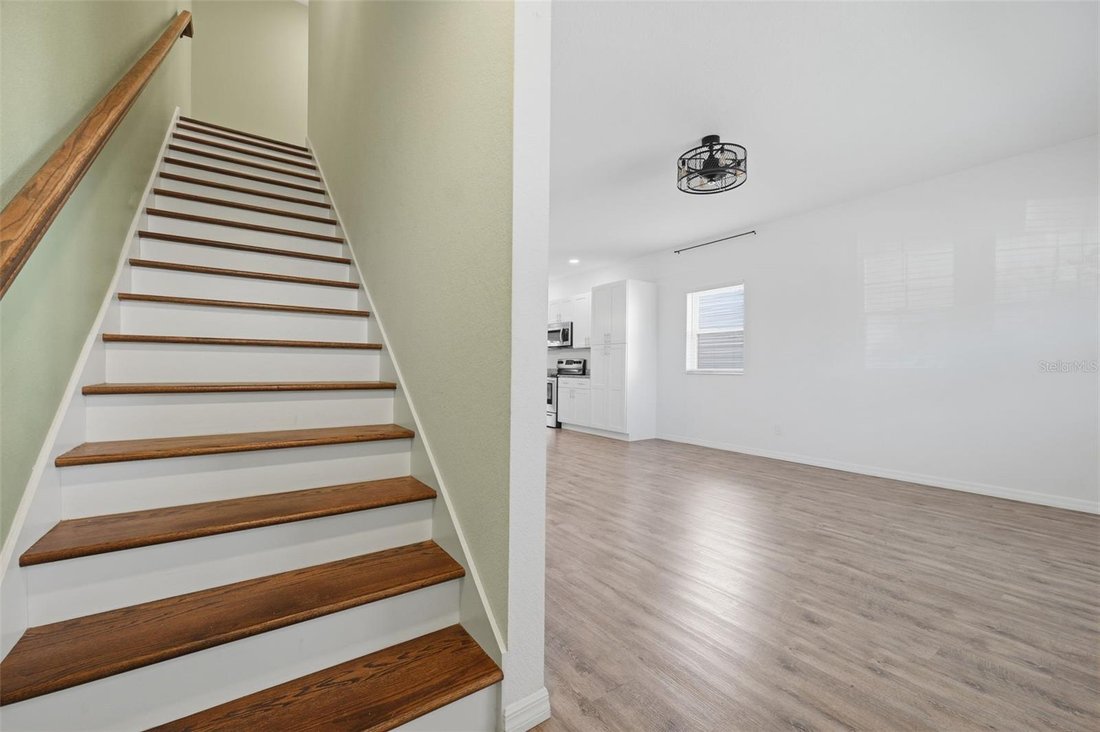 House in Clearwater, Florida, United States 3 - 19003439