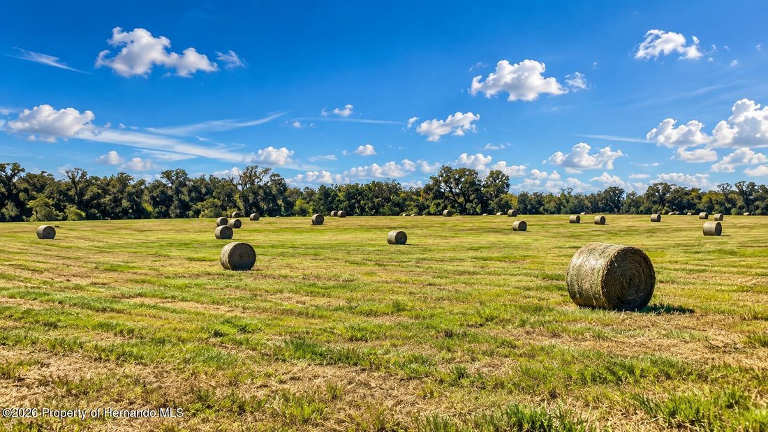Land in South Brooksville, Florida, United States 1 - 17859211