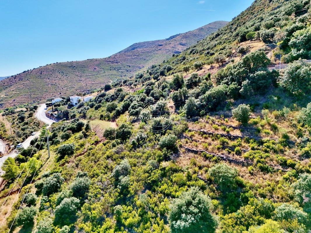 Land in Llanca, Catalonia, Spain 3 - 19001355