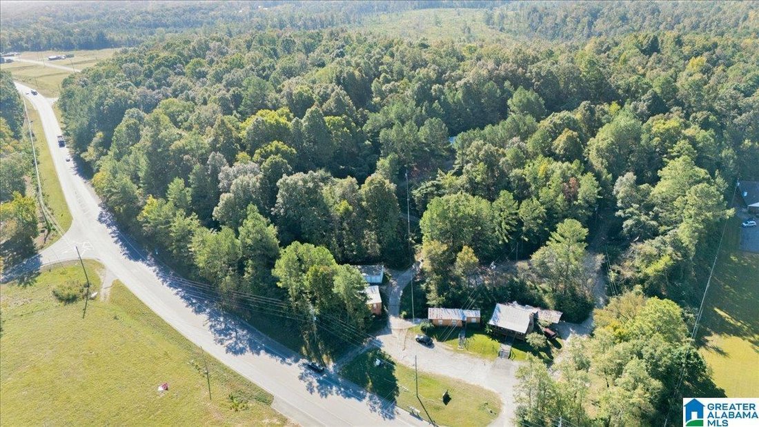 Montevallo, Alabama, United States 5 - 19006577