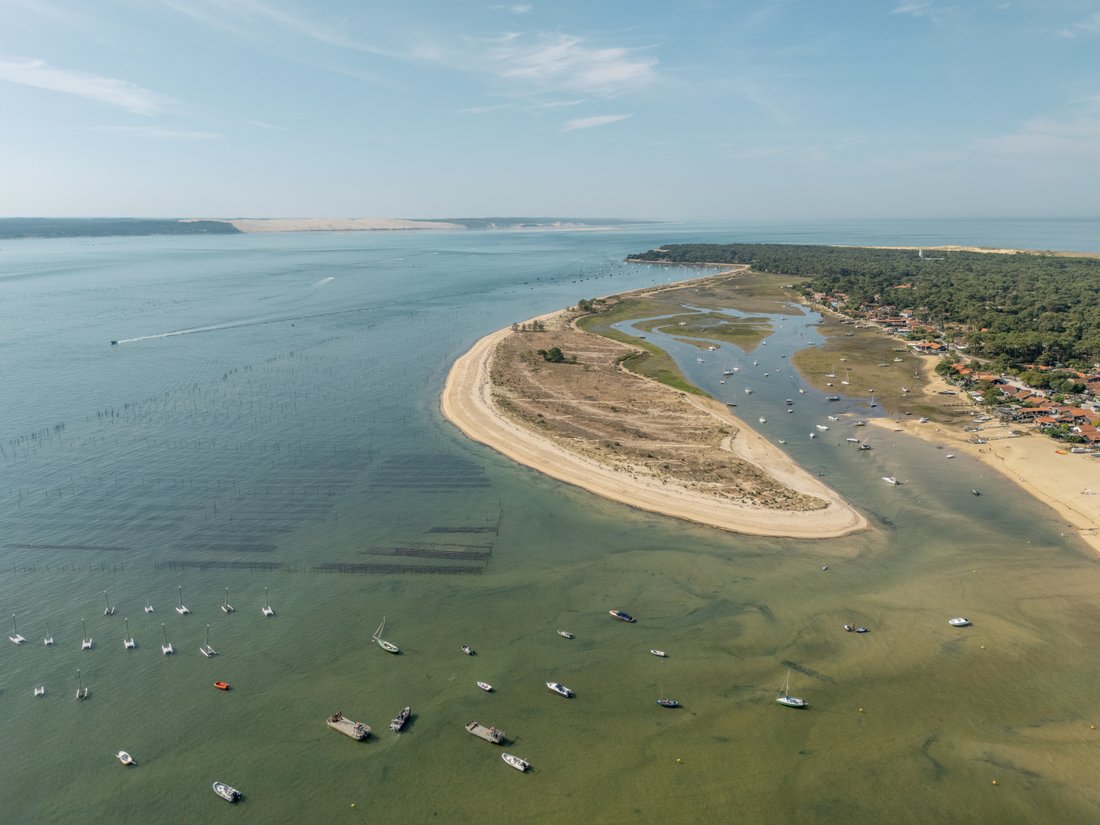 Villa in 33970 Le Cap-Ferret, Lège-Cap-Ferret, Neu-Aquitanien 2 - 17697114