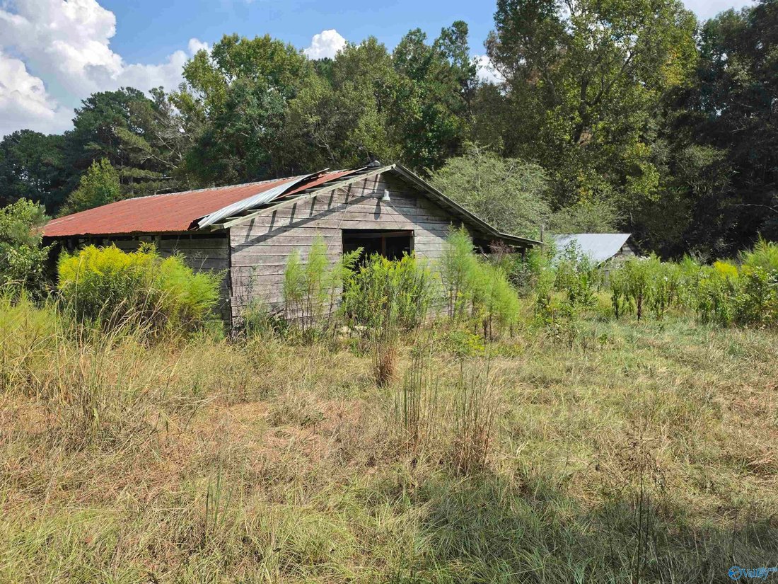 Farm Ranch in Boaz, Alabama, United States 5 - 19003000