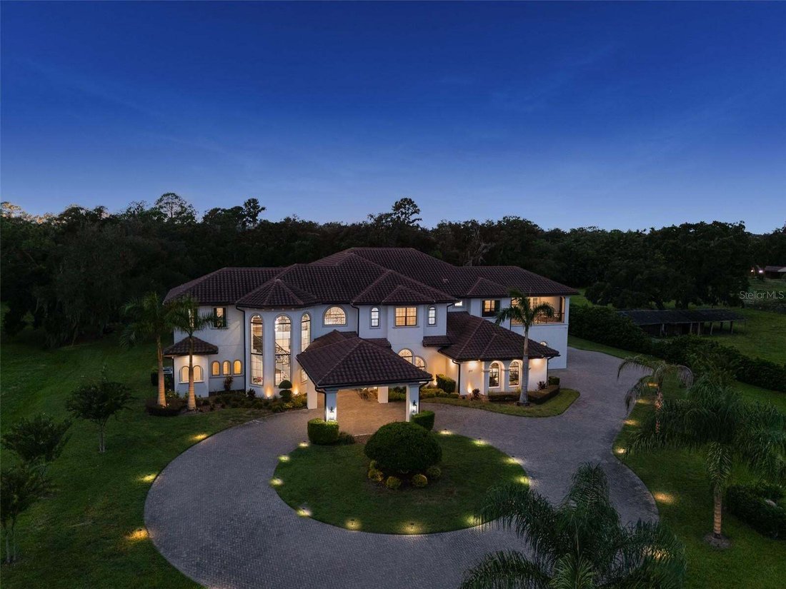 House in Riverview, Florida, United States 1 - 19003423