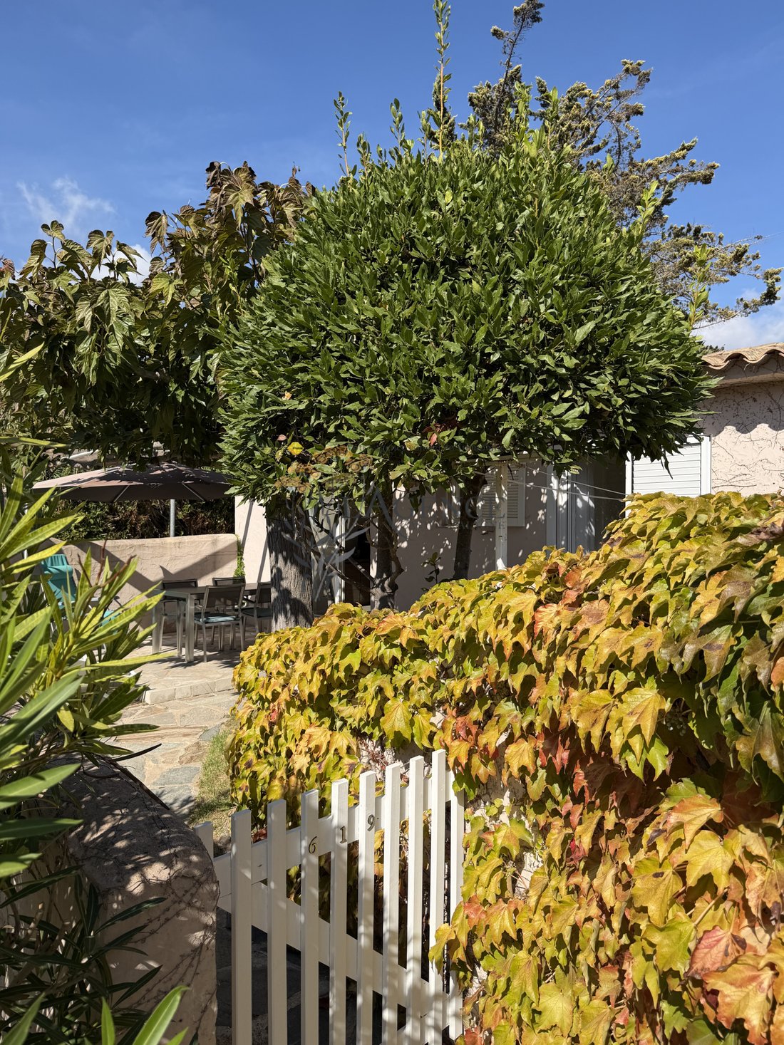 House in Porto-Vecchio, Corsica, France 1 - 19004581
